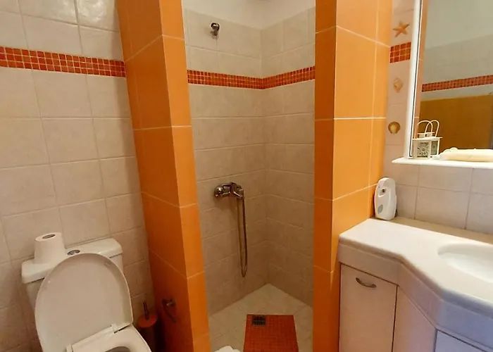 Luxury Arartments Tzemi *